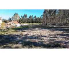 Terreno Premium na EN2 – 2.000m² | Construção 900m² | A 4 min Tondela