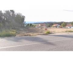 Terreno Premium na EN2 – 2.000m² | Construção 900m² | A 4 min Tondela